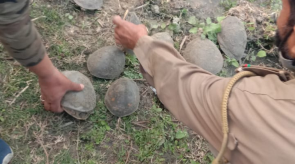 229 turtles rescued from Kamakhya Railway station released in Pobitora
