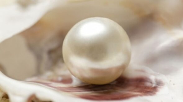 6,500-yr-old pearl bead discovered in Qatar grave