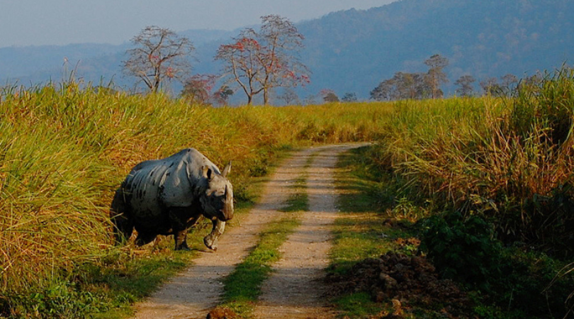 Assam declares seven areas as Eco-Sensitive Zones of Kaziranga National Park
