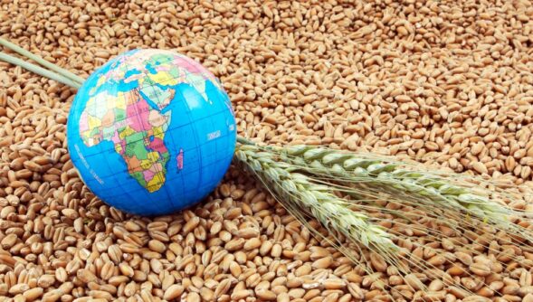 Ukraine war threatens food security worldwide