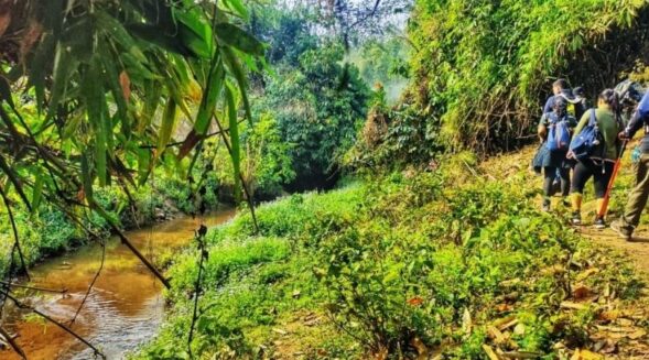 Garbhanga Forest set to be Assam’s 25th wildlife sanctuary