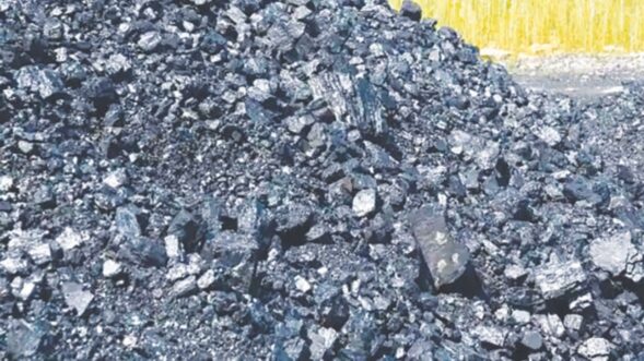 HC directs speedy disposal of mined coal