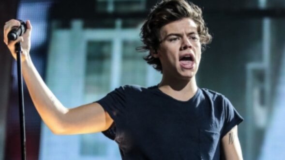 Fan throws chicken nugget at vegetarian Harry Styles, gets it back