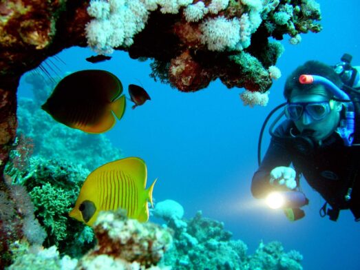 Scuba Diving in Goa; Best packages 2022