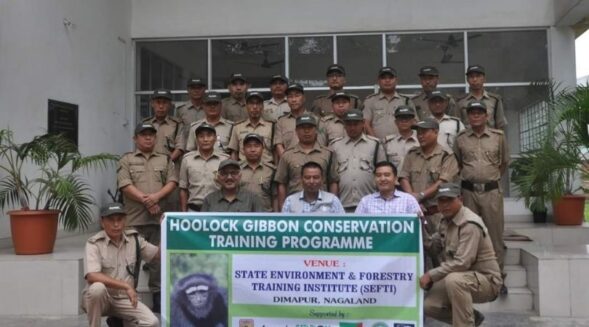 Nagaland forest department frontline staff partake in capacity building workshop
