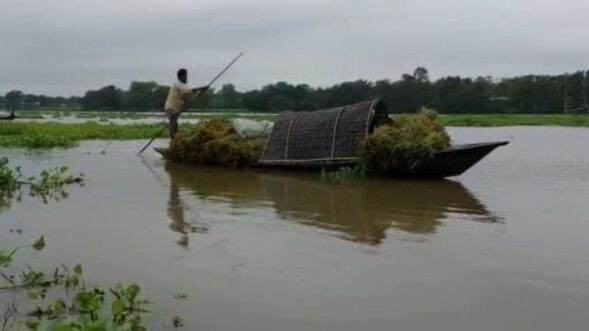 Death due to floods in Assam mounts to 24; marginal improvement in situation