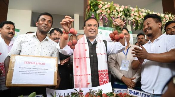 GI tagged ‘Tezpur litchi’ to be exported to London