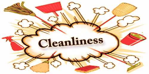 cleanliness health essay