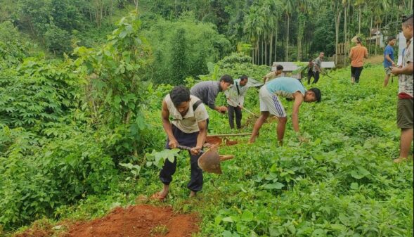 Over 300 saplings planted in Ri Bhoi’s Pahamshken village