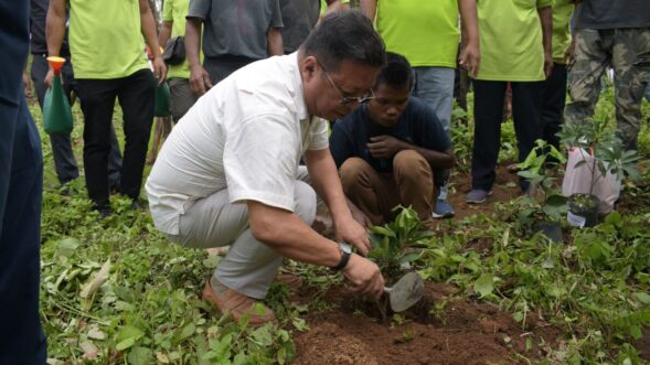 Hundreds of saplings planted ahead of World Environment Day