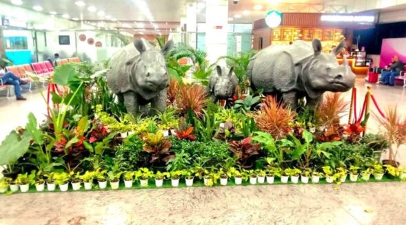 Adani carries out initiative to increase green cover at LGBI airport