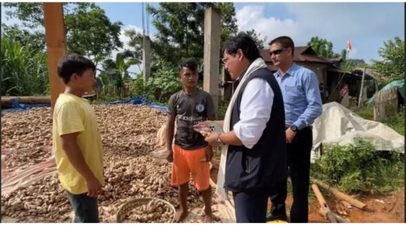 MDA govt to boost ginger farming in state