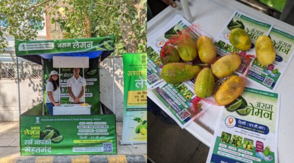 Promotional drive by Assam horticulture dept in Delhi, NCR