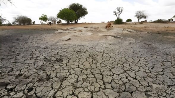 Climate change deadlier than cancer in some areas: UNDP