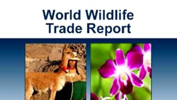 World Wildlife Trade Report