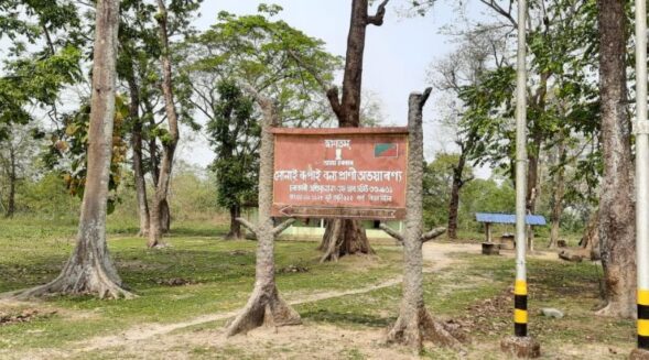 Assam govt to distribute land pattas to encroachers at Sonai Rupai WLS
