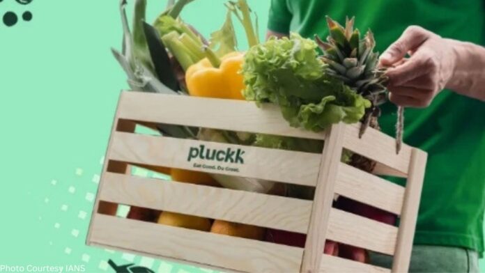 Pluckk Basket