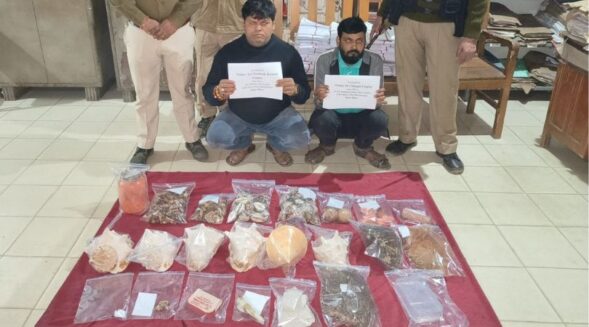 Guwahati: Huge quantity of animal parts of wild species recovered