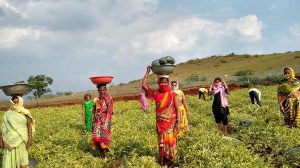 Experts train women farmers in growing aromatic plants