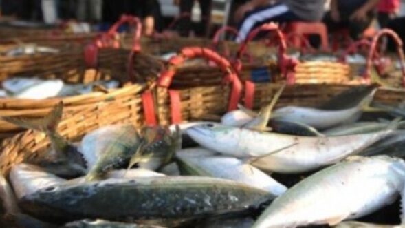 S.Korea rules out resumption of seafood imports from Japan’s Fukushima