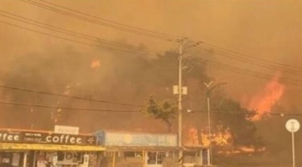 Wildfire in S Korea destroys 100 homes