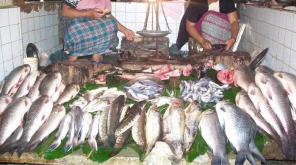 Report on origin of Formalin laced fish awaited: Hek