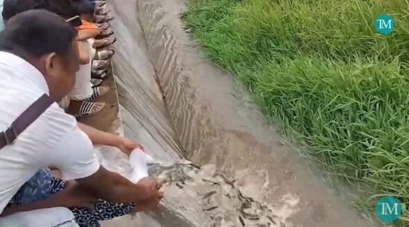 WATCH | Local youths give polluted Umpyrli stream new lease on life