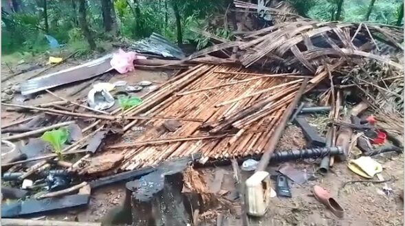 At least 14 farm sheds destroyed by wild elephants in South West Khasi Hills 