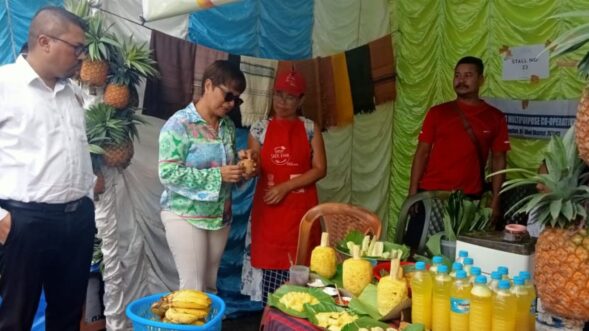 Ri Bhoi’s 3rd Pineapple Festival returns, celebrating local agriculture, community spirit