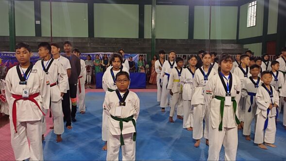 Taekwondo Championship held in city as tribute to masters