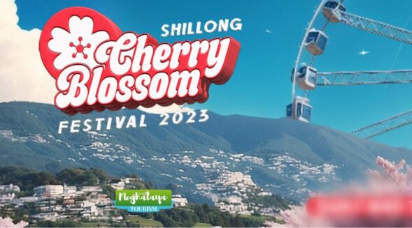 Shillong Cherry Blossom Festival unveils spectacular line-up, exciting multi-stage layout in Ri Bhoi
